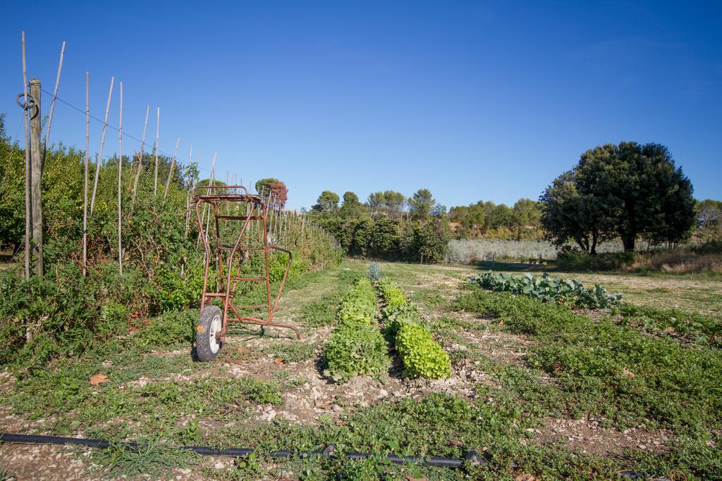 Les Résidences de Métifiot Saint-Rémy-de-Provence Esterno foto