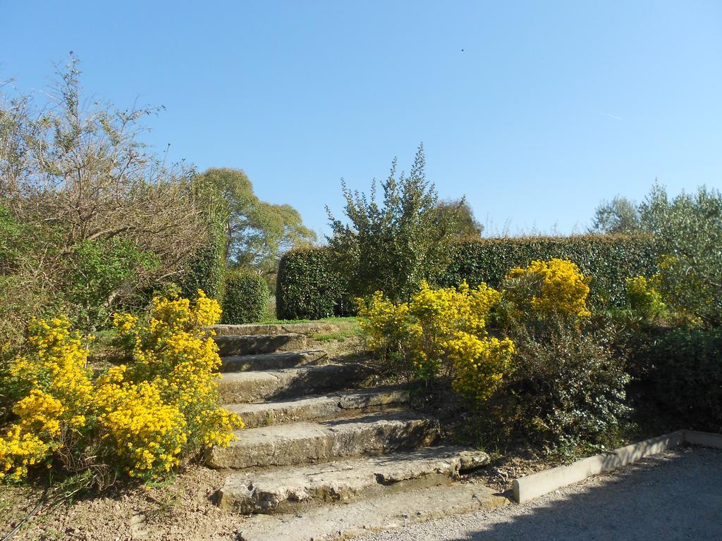 Les Résidences de Métifiot Saint-Rémy-de-Provence Esterno foto