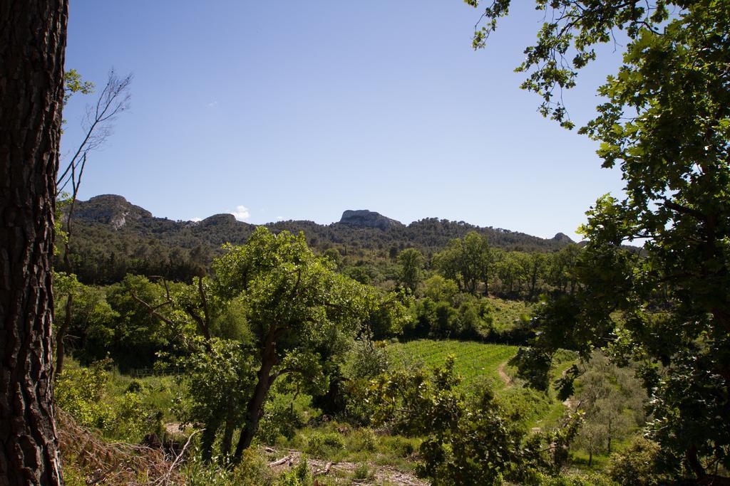 Les Résidences de Métifiot Saint-Rémy-de-Provence Esterno foto